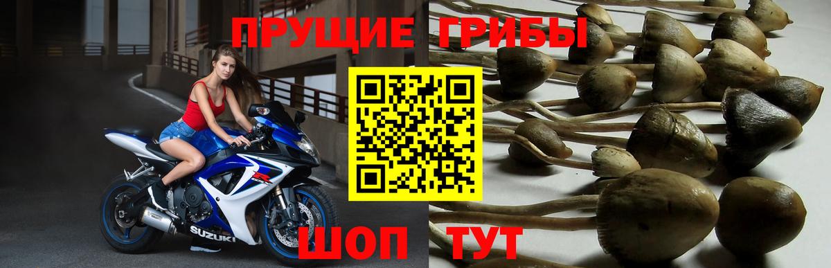 Галлюциногенные грибы MAGIC MUSHROOMS  Вход с VPN  Узловая 
